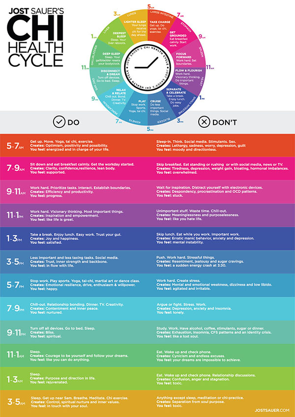 The illustrated Chi Cycle showing what to do every 2 hours of the day for health and happiness.
