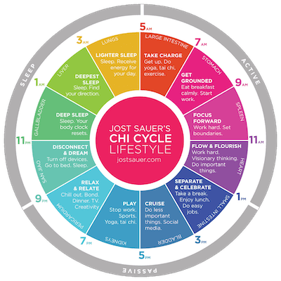 Jost Sauer's Chi Cycle Lifestyle illustration
