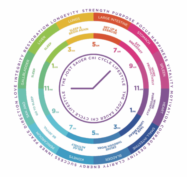 Jost Sauer Chi Cycle lifestyle benefits wheel
