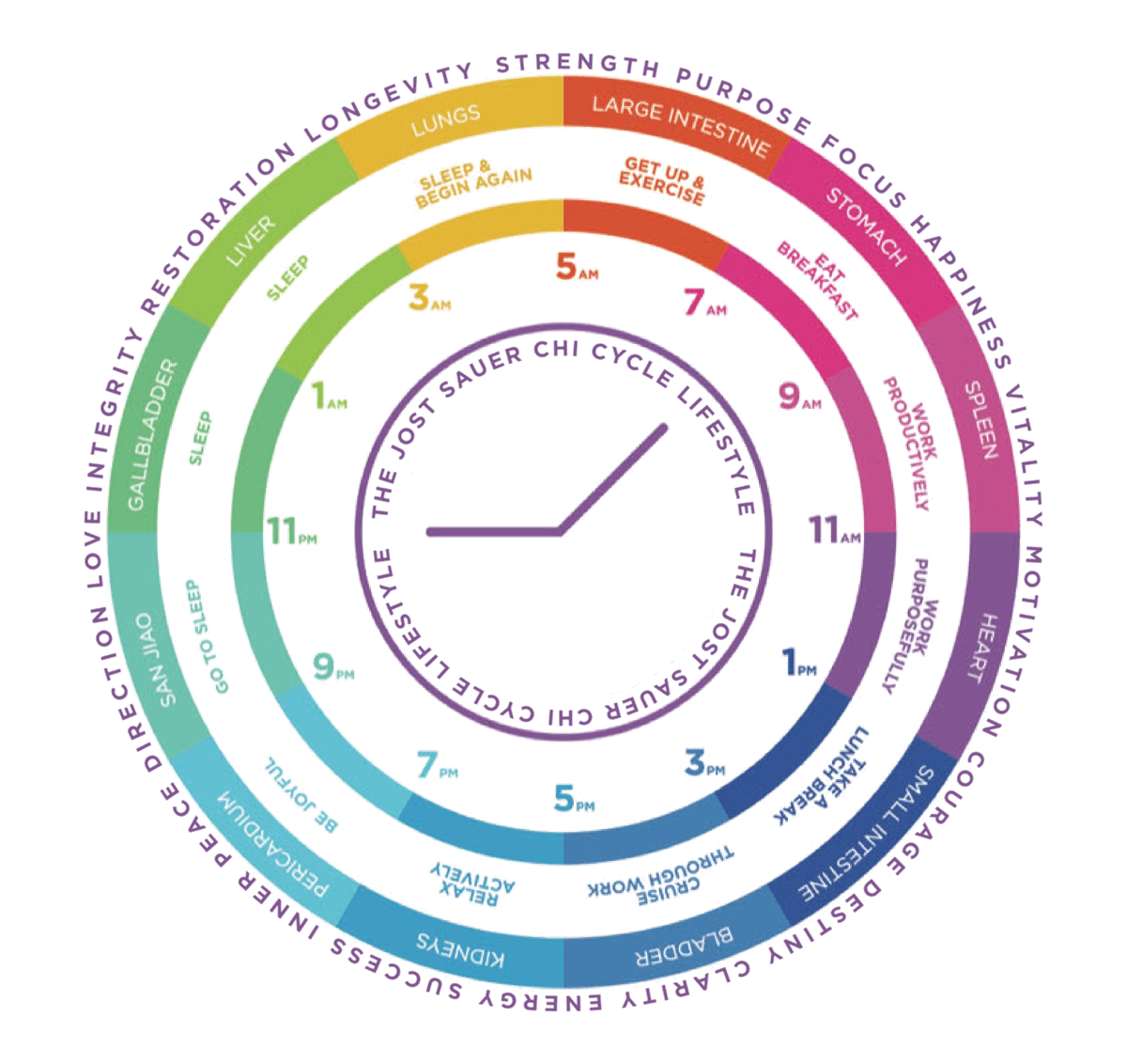 Jost Sauer Cosmic Chi Cycle lifestyle wheel