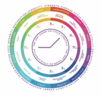 Jost Sauer Chi Cycle lifestyle benefits wheel
