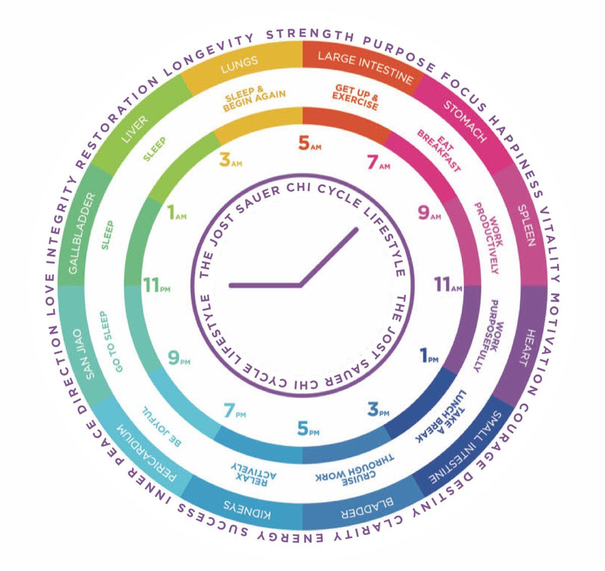 Jost Sauer Chi Cycle lifestyle benefits wheel
