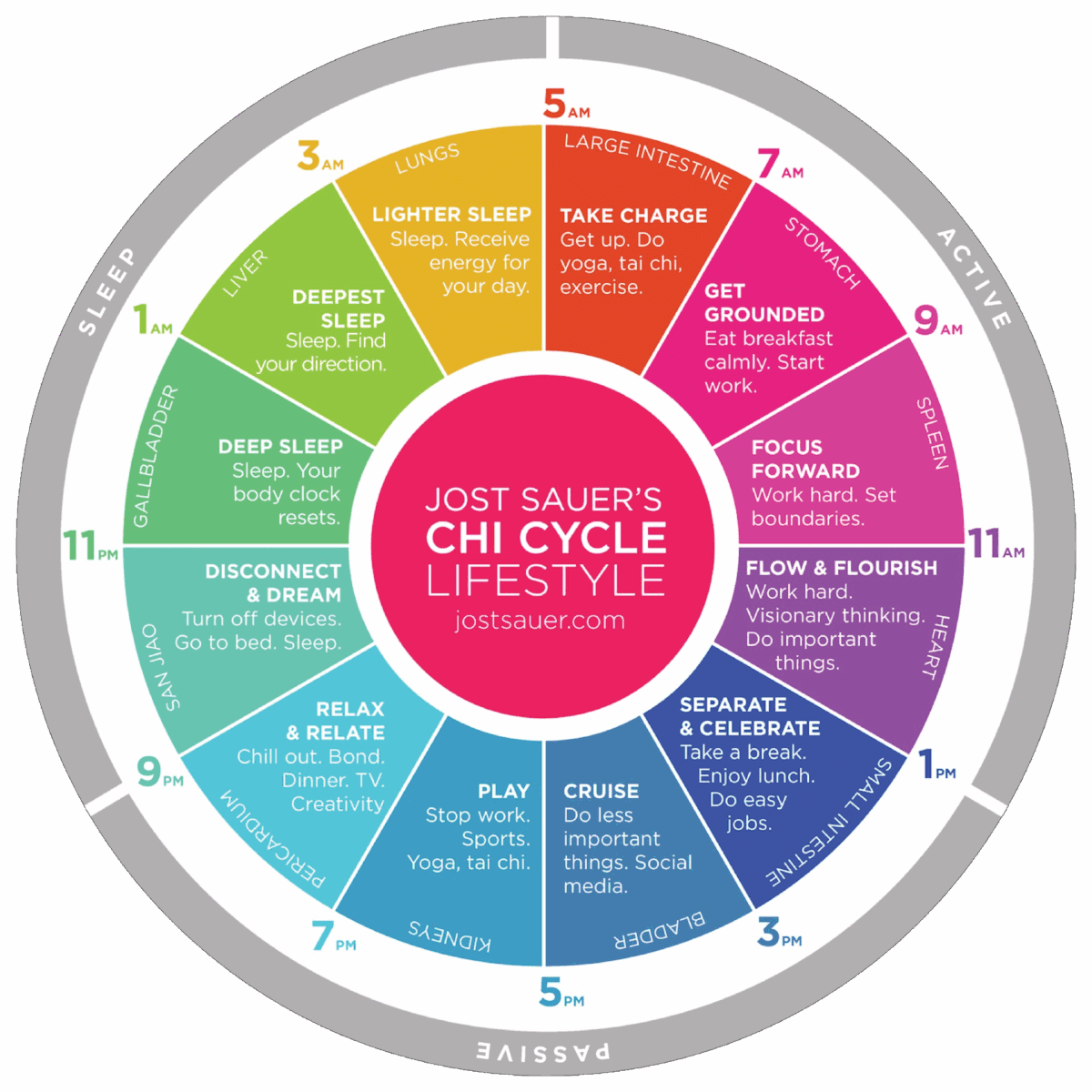 Jost Sauer Chi Cycle Lifestyle wheel.