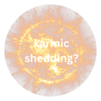 Jost Sauer karmic shedding article logo