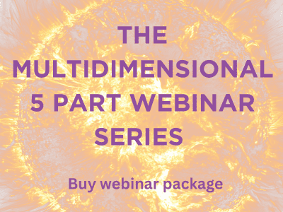 Jost Sauer multidimensional webinar series